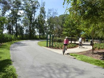 A couple of people riding bikes down a road